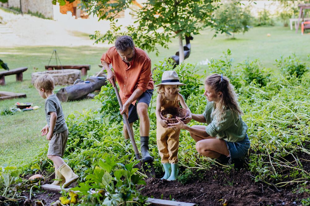 Medium-Seezon - What is eco gardening 1- family