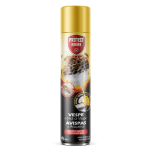 Espuma avispas y avisperos