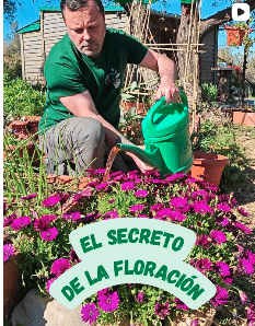 Mi huerto fácil